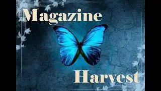 Holy Moly! It's Me! || Magazine Harvest || What's Up? || Mental Health