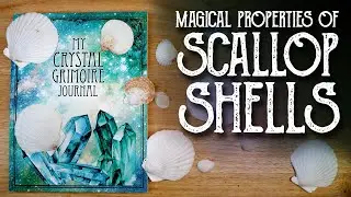Look Inside My Crystal Grimoire Journal, Scallop Shell Book of Shadows Page - Magical Crafting Books