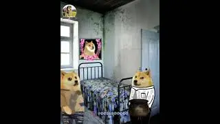 Most Funny Dog and Cheems memes #shorts #viral #cheems  #memes #funny #story