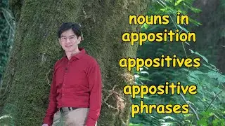 Appositives or Nouns in Apposition | Meaning, Use, and a Memory Trick | Ask Cozy Grammar!