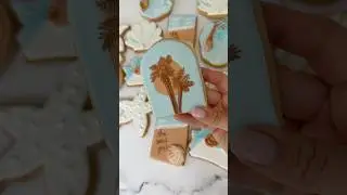 Sea shell cookies🐚#icingcookies #customcookies #viralvideo #cake #fyp #fypシ゚viral #seashell