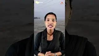 sapta koshi river dam news