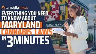What You Need to Know About Cannabis Business Laws in Maryland 2024