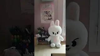 unboxing skzoo peluche Teddy Bear #skzoo #straykids #skz #teddybear #leeknow #leebit #unboxingkpop
