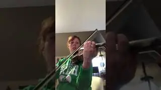 Wohlfahrt 39 viola