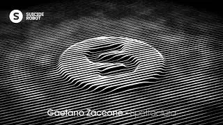 Gaetano Zaccone - Spettaclura (Melodic House | Suicide Robot)