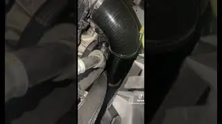 All Motor Labs 5.0 F150