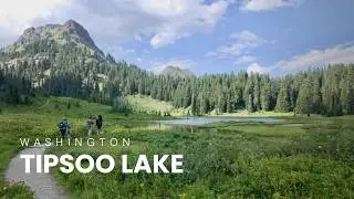 Tipsoo Lake Hike 🪻 Stunning Wildflowers | Mount Rainier, Washington | National Park