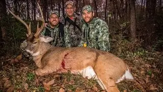 Deer Hunting - 300 lbs. Illinois 8 Year Old Whitetail 