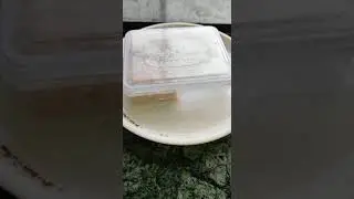 #Shorts/ Tip to Save your Sweets From Ants / #Hometips / #Tips