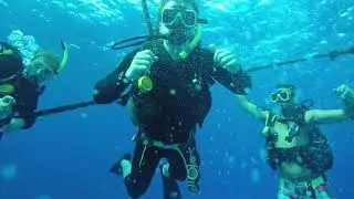 Study Abroad Semester at JCU in Cairns, Australia (2017)