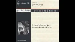 Herr, unser Herrscher-Johannes-Passion / St. John Passion - Soprano - Sopran - T1