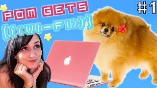 Pom Gets Wi-Fi Ep 1 - U Lil Bitch (Pun Intended)