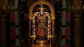 Govinda Hari Govinda 🙏🚩 @MSRHUNT #govinda #tirupati #tirumala #laxmipuja #telugu #lordshiva