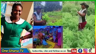 Young Nurse who awaits posting decided to venture into farming