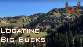 Breaking Down Mule Deer Country: How To Find Mature Bucks