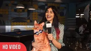 Exclusive Interview : Adah Sharma Birthday Celebration | I LOVE N&ecirc;p0tism | Rekha is my MOM ??