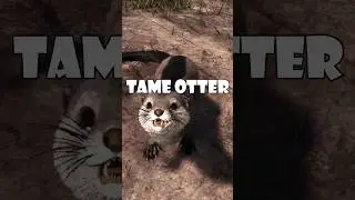 Ark Otter