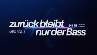ZUR&Uuml;CK BLEIBT NUR DER BASS | @mexiaolu @HBSB-HeBurnsSheBurns #germantechno #liebeskummer
