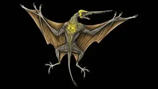 Leafwing (Kong Skull Island) Sounds
