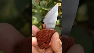 Japanese Style Best Camping Pocket Knife 😱🔪 | Review |#shots #ytshorts #camping #gadgets