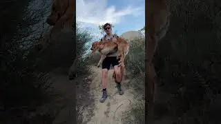 Stop Rucking Wrong!
