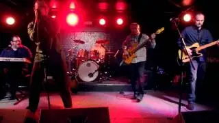 FaceP!ant Live @ The Brass Monkey  Ottawa March 3 2016