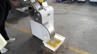 Automatic coconut cutting machine