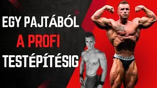 Bemutatkoz&aacute;s / Mell, bicepsz edz&eacute;s