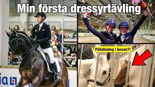 STORYTIME *NHF* - Tävlade Grand Prix-häst inför fullsatta läktare