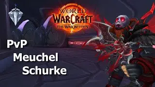 Let's Play WoW The War Within Gewertetes PvP Meuchel Schurke - Schlag auf Schlag