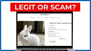 Betterlife Bunny Review - Legit or Scam? (2025) Full Guide