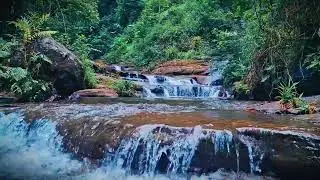 Mountain River Waterfall Flowing | Water Sounds, Nature White Noise, River Sounds for Sleeping