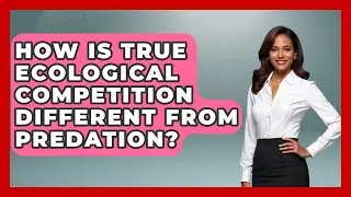How Is True Ecological Competition Different From Predation? - Explaining Ecology