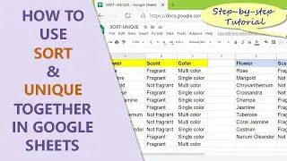 Функции сортировки и уникальности в Google Таблицах | Вложение уникальности в сортировку | Удален...