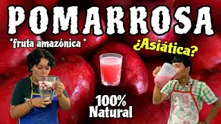 POMARROSA 🍎 *JUGO 🧃* CÓMO se HACE ❗*fruta AMAZÓNICA* 🔝 |The JuanJer's|