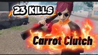 The Carrot Skills 