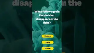 Puzzle in the Moonlight #riddles