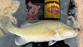 Cod on Vegiemite chicken at Lake Charlegrark and vintage spinners