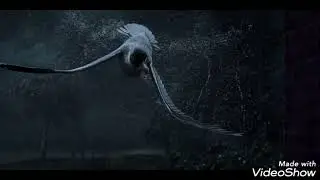 Watership down - 10,000 enemies -  клип