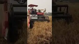 Kubota chain harvester 99 g