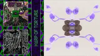 FRAXENON - Harp Of Torture (FLASH WARNING ⚠️)