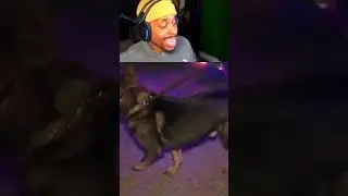 😂 Похоже, я ошибалась насчет него.