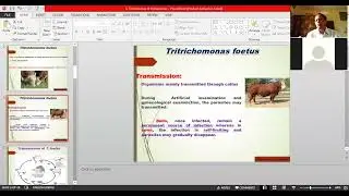 Trichomonas by Dr. Ajit Kumar, Dept. of Parasitology, BVC, Patna