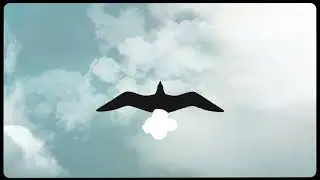 just dropped shit