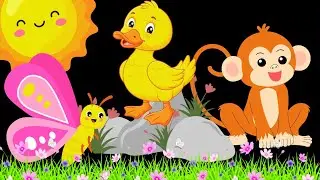 Jungle Animals Baby Sensory 🐒 Fun Learning Video for Babies & Toddlers