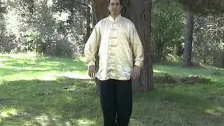 Curso de Qi Gong de Wu Dang - Zhan Zhuang Gong  (Posturas de Arbol  y Wu Ji)