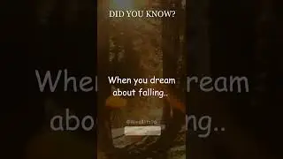 The Freefall of Dreams: Understanding the Link Between Falling and Insecurity
