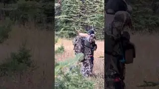 OPENING DAY ARCHERY ELK! 35 YARDS!