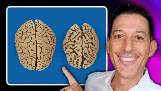 Stop Your Brain From Shrinking As You Age (Possible Alzheimer&rsquo;s & Dementia Prevention) | 2713